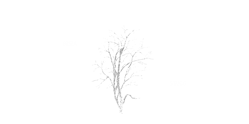 Image module