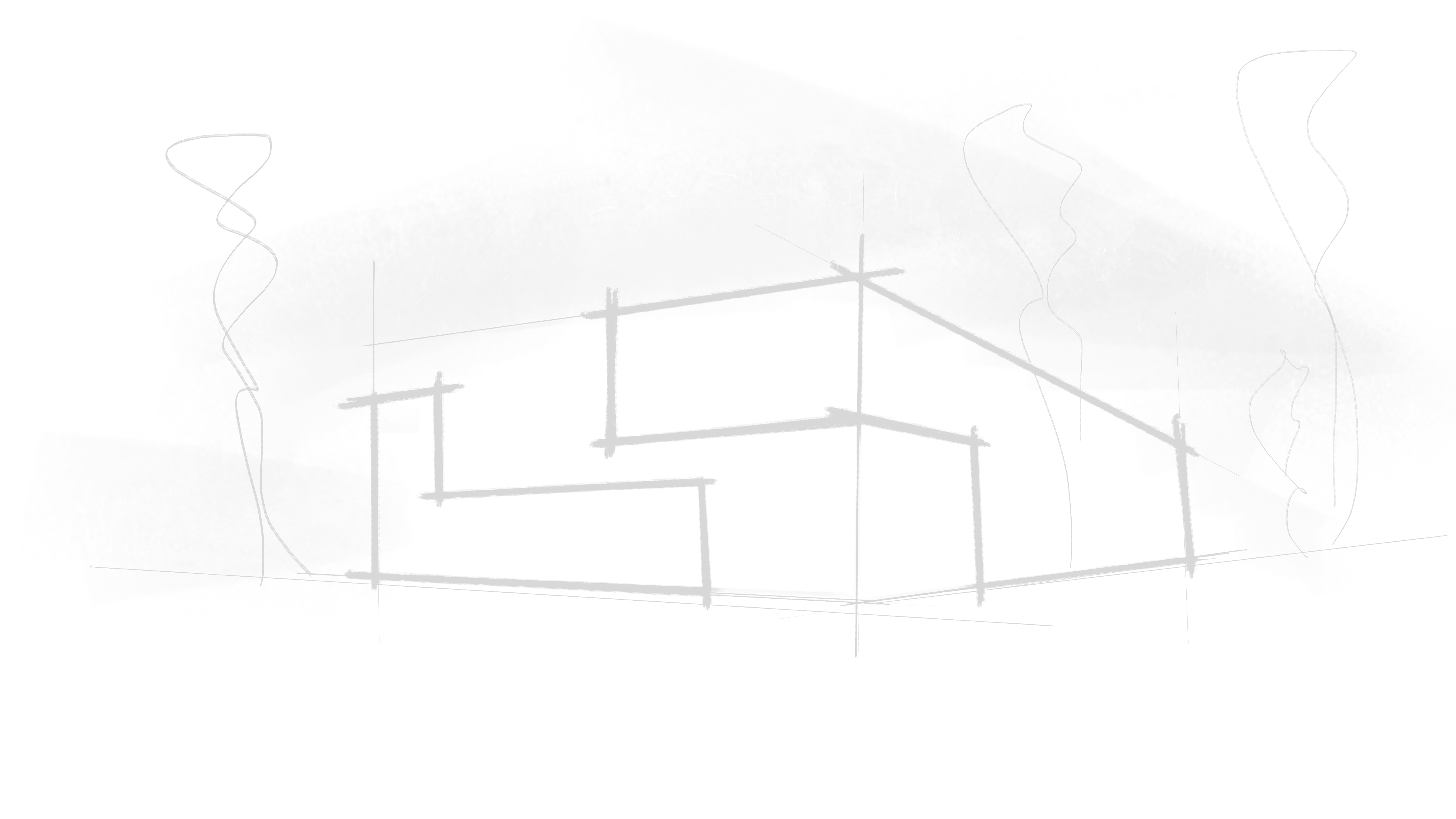 Image module
