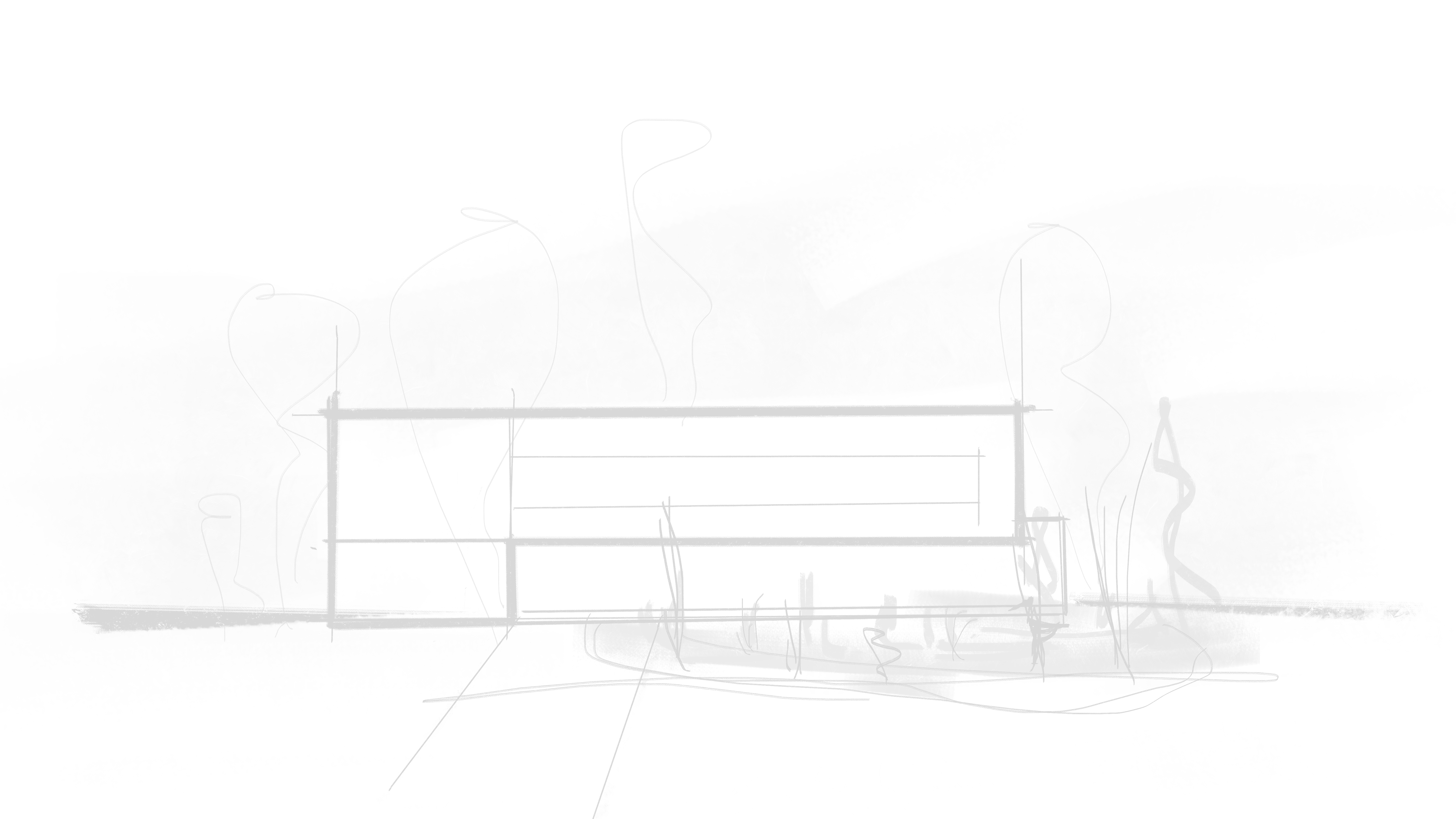 Image module